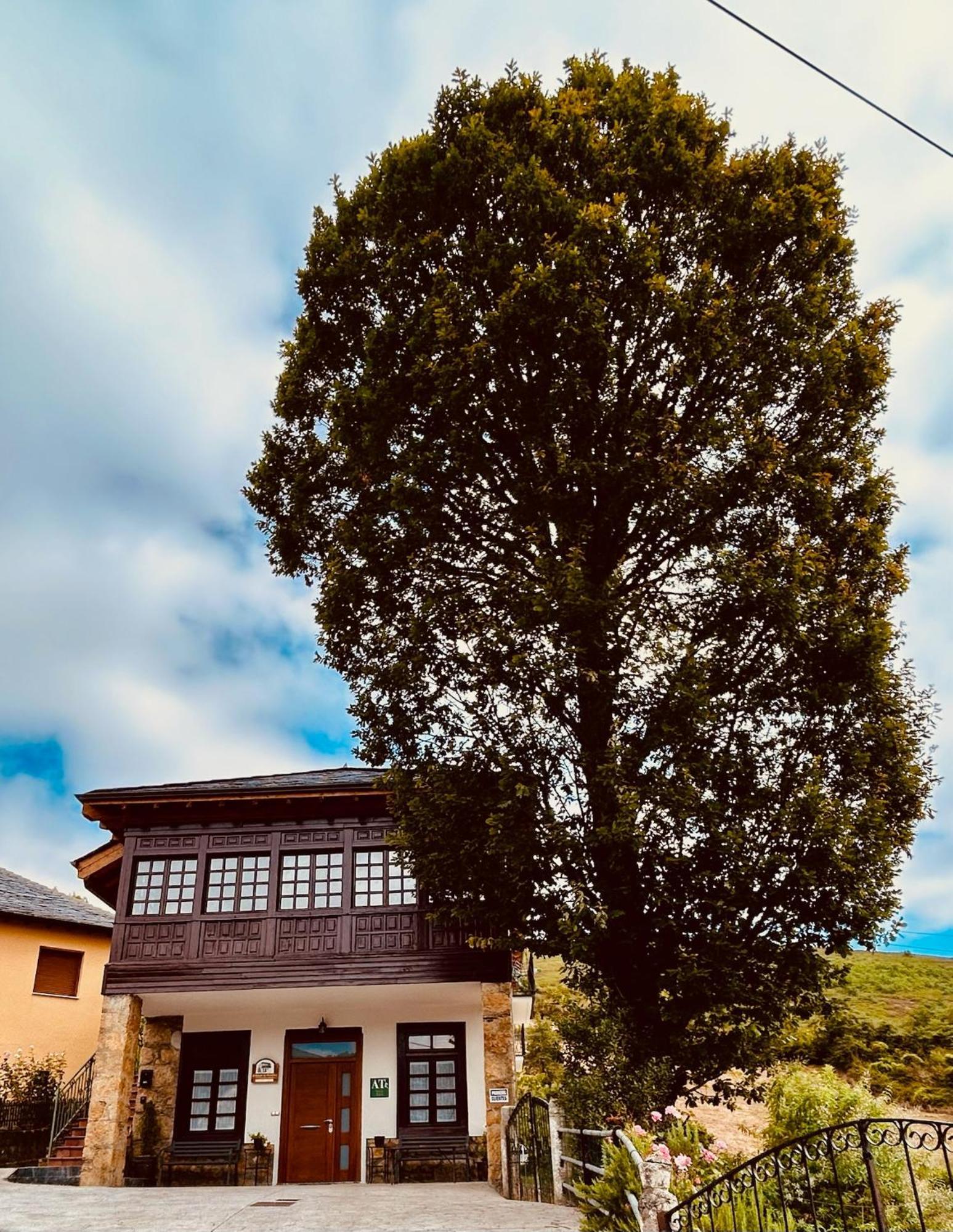 El Balcon De Muniellos Oballo Εξωτερικό φωτογραφία